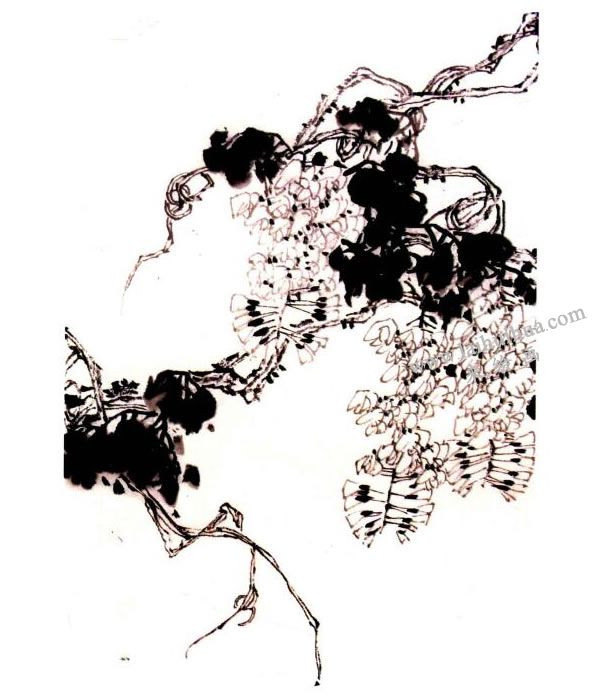 李同安《紫藤》小写意画法步骤图示03