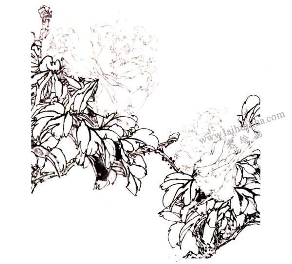 李同安《牡丹》小写意画法步骤图示01