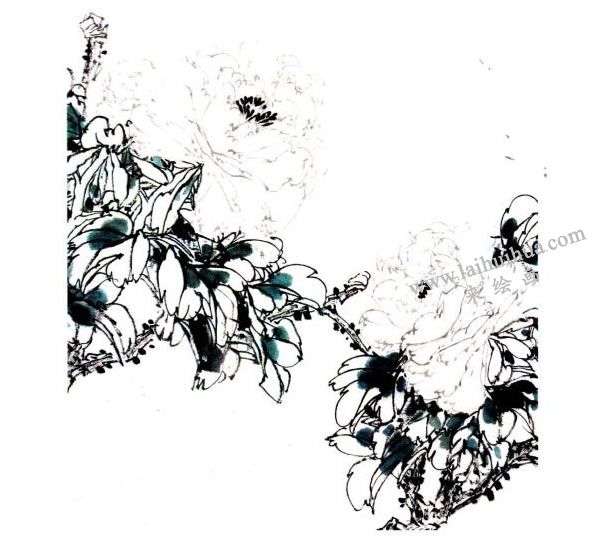 李同安《牡丹》小写意画法步骤图示02