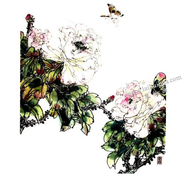 李同安《牡丹》小写意画法步骤图示04