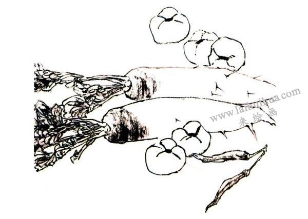 李同安《蔬果》小写意画法步骤图示01