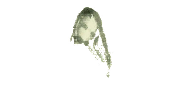 蝴蝶写意画法步骤图示01