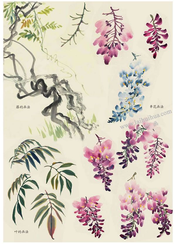紫藤花叶的画法