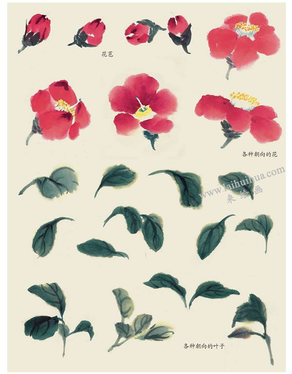 山茶叶子的画法