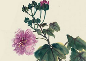 木芙蓉花写意画法