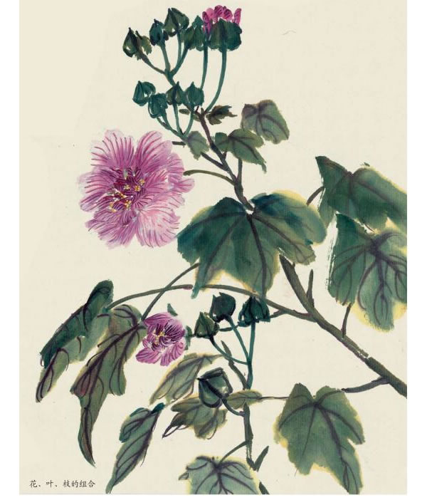 木芙蓉花写意画法