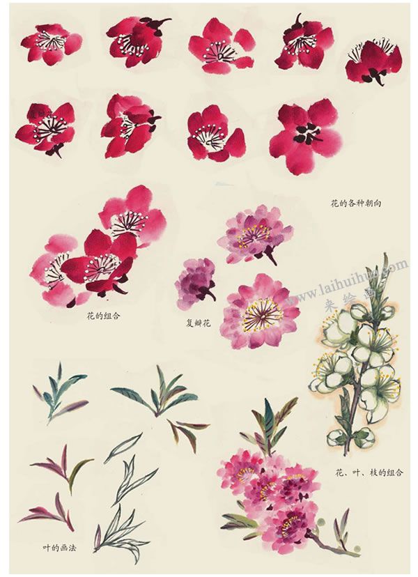 桃花叶子的画法