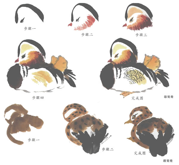 鸳鸯的写意画法（二）