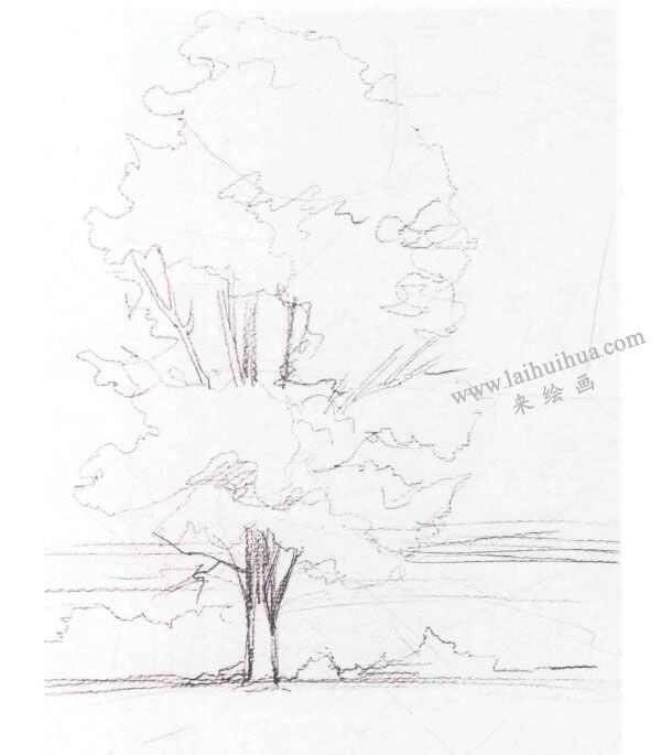 白杨树水彩画法步骤图示01