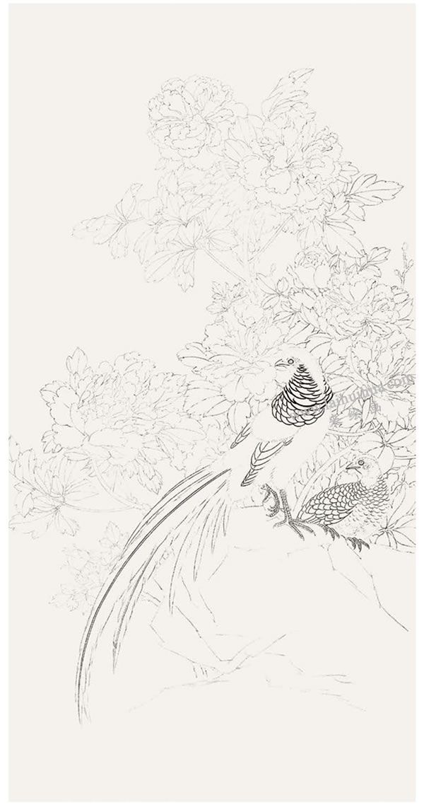 工笔画《富贵吉祥》步骤图示01