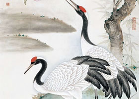 工笔画《鹤寿图》步骤图示