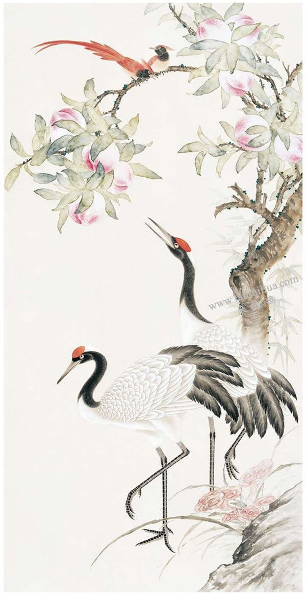 工笔画《鹤寿图》步骤图示04