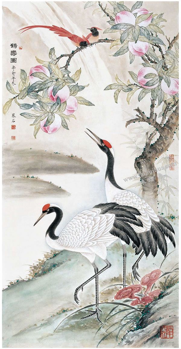 工笔画《鹤寿图》步骤图示05