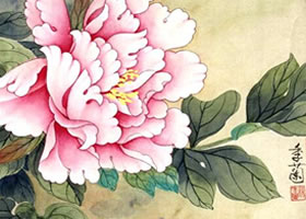 工笔画《国色》(牡丹)绘画步骤图示