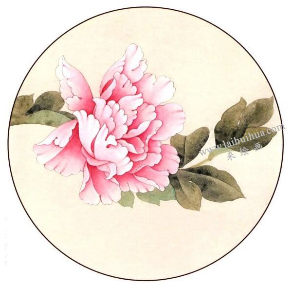 工笔画《国色》（牡丹）绘画步骤图示04