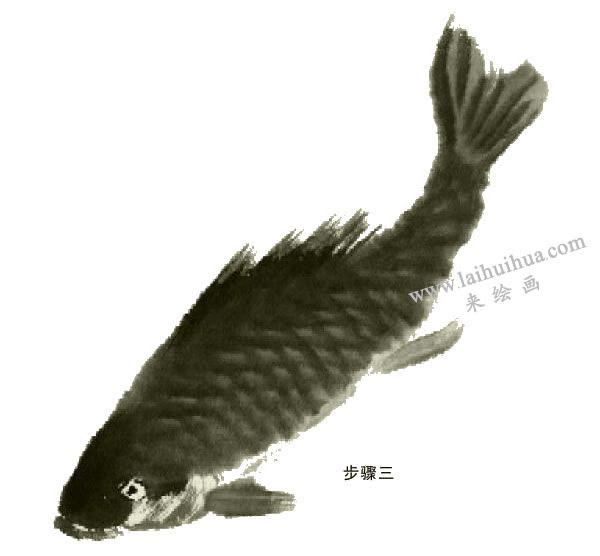 鲤鱼的写意画法步骤图示03