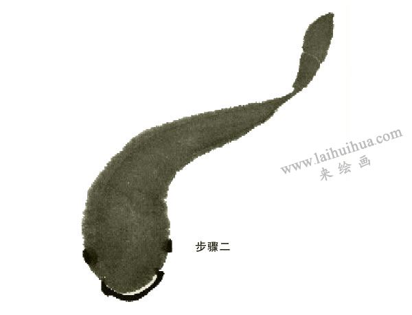 鲶鱼的写意画法步骤图示02