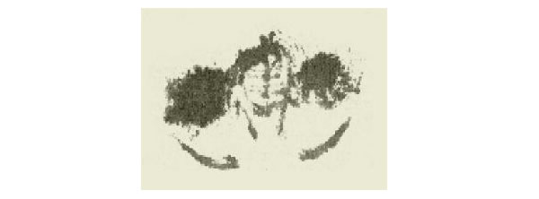 螃蟹的写意画法步骤图示01