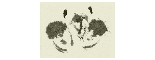 螃蟹的写意画法步骤图示02