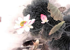 工笔画《荷花鲤鱼》画法步骤图示
