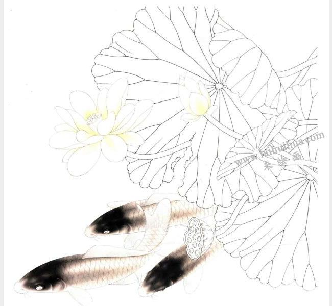 工笔画《荷花鲤鱼》画法步骤图示02