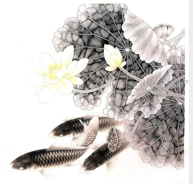 工笔画《荷花鲤鱼》画法步骤图示03