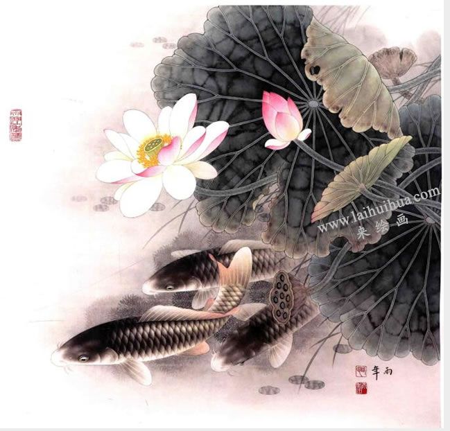 工笔画《荷花鲤鱼》画法步骤图示05