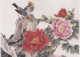 工笔画《太平牡丹》画法步骤图示