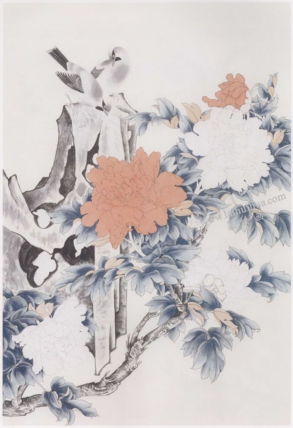 工笔画《太平牡丹》画法步骤图示02