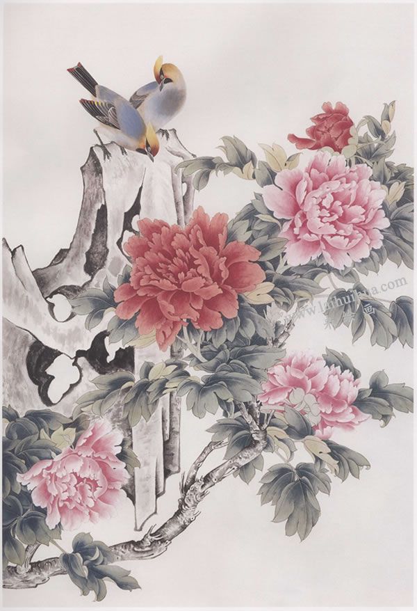 工笔画《太平牡丹》画法步骤图示03