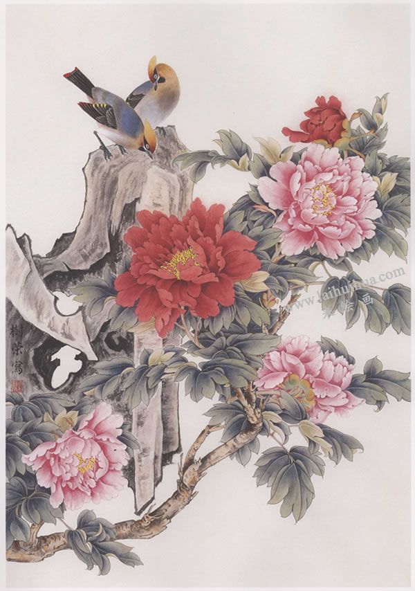 工笔画《太平牡丹》画法步骤图示04