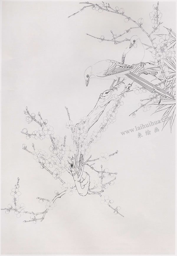 工笔画《梅花山喜鹊》画法步骤图示01