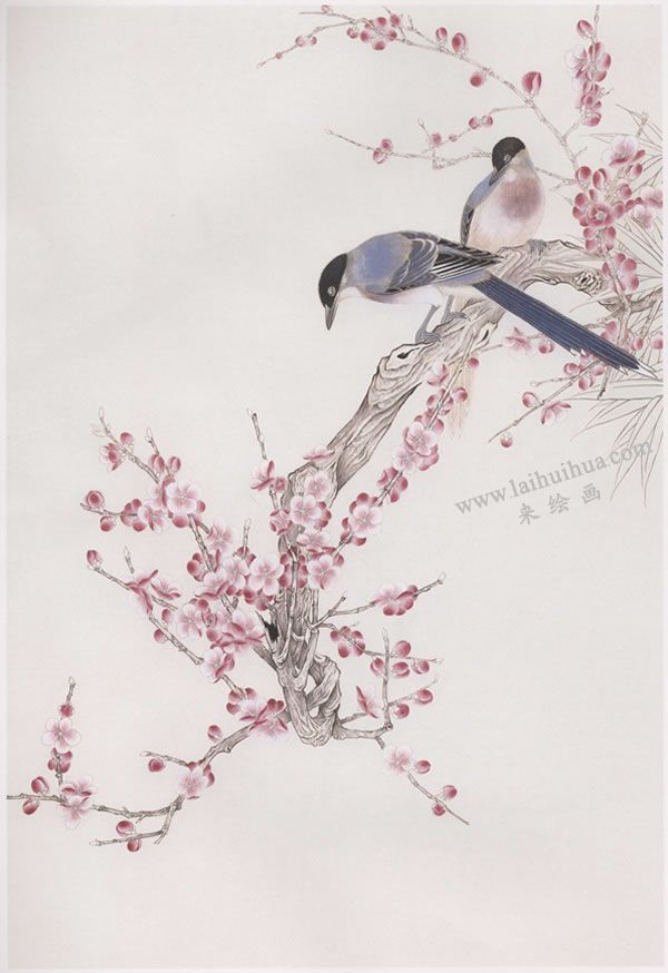 工笔画《梅花山喜鹊》画法步骤图示03