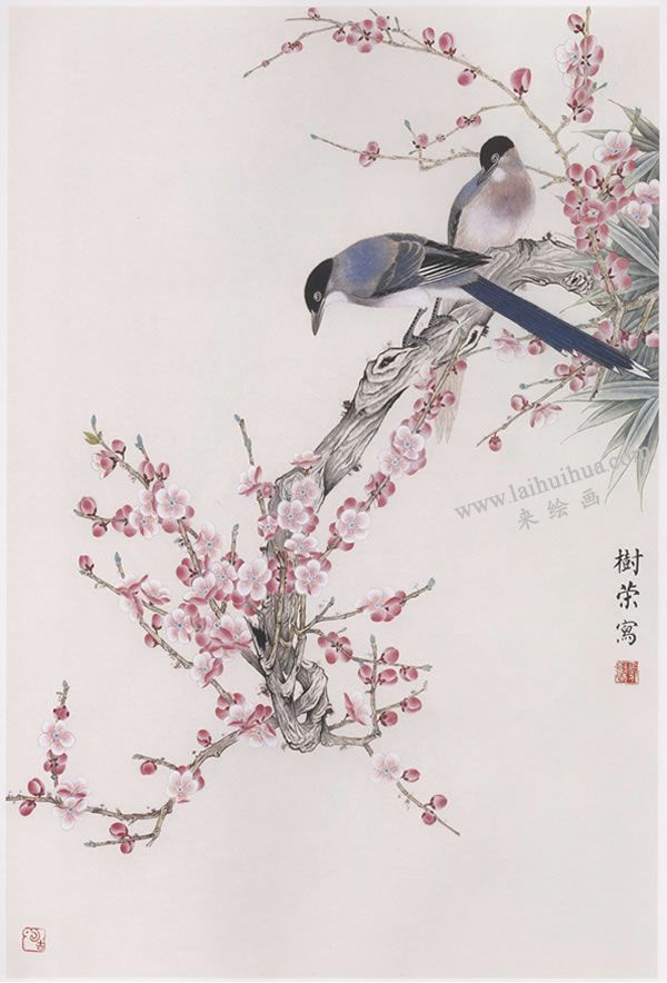 工笔画《梅花山喜鹊》画法步骤图示04