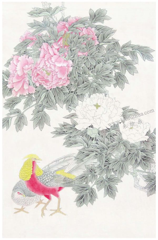工笔画《富贵吉祥》画法步骤02