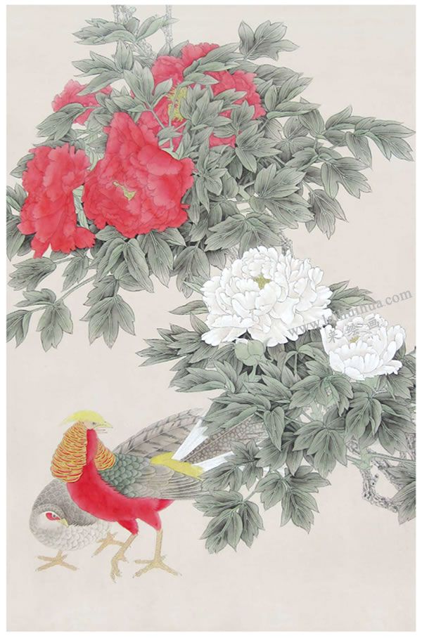 工笔画《富贵吉祥》画法步骤03