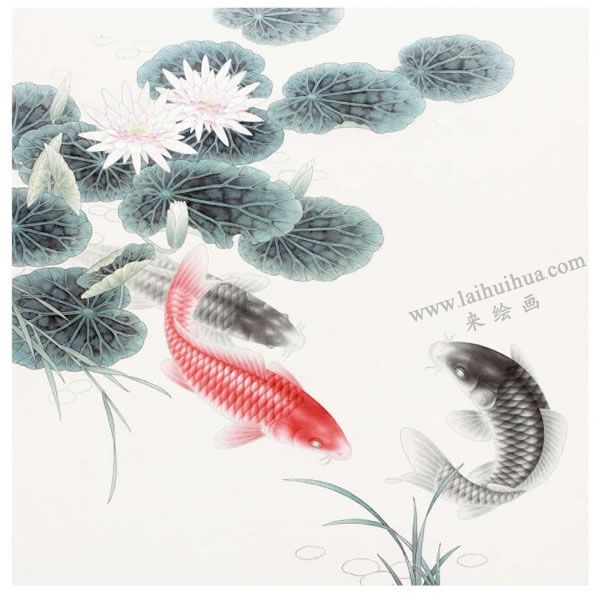 工笔画《连年有余》画法步骤图示03