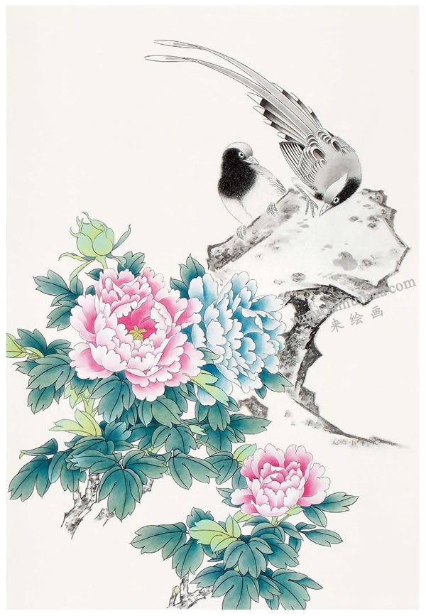 工笔画《福寿双全》画法步骤图示02