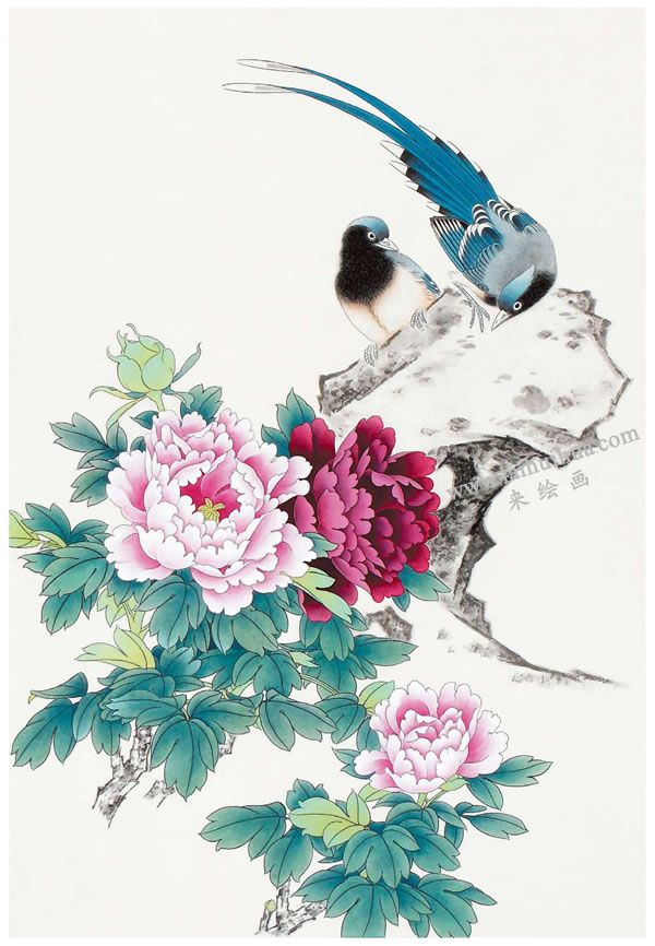 工笔画《福寿双全》画法步骤图示03