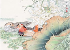 工笔画《和美幸福》画法步骤图示