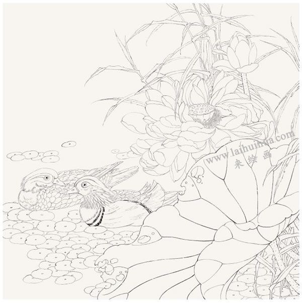 工笔画《和美幸福》画法步骤图示01