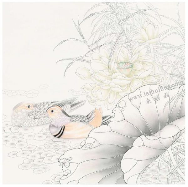 工笔画《和美幸福》画法步骤图示02