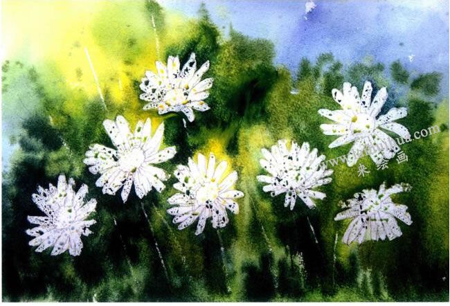 山菊花水彩画法步骤图示04