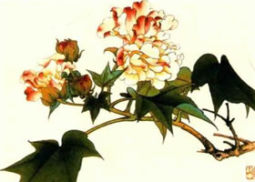 木芙蓉的工笔画法步骤