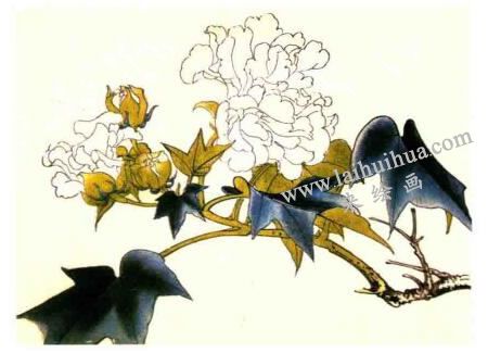 木芙蓉的工笔画法步骤图示02