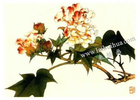 木芙蓉的工笔画法步骤图示04
