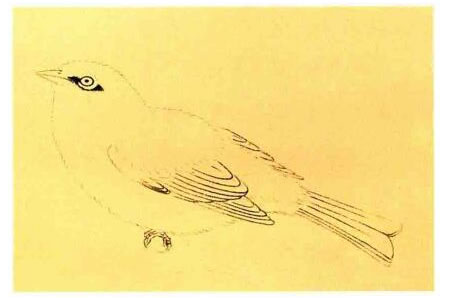 绣眼的工笔画法步骤图示01