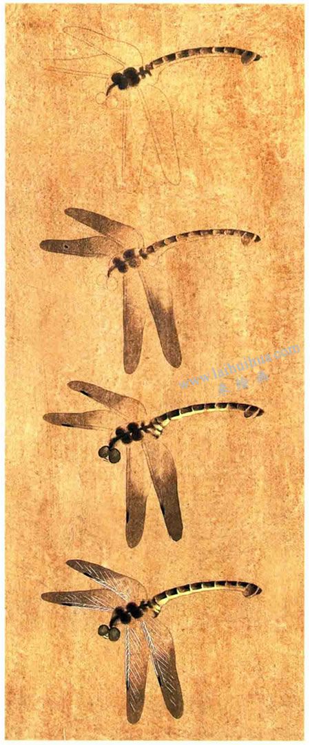 蜻蜓工笔画法步骤图示（没骨画法）