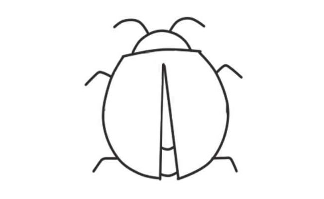 七星瓢虫简笔画创作步骤03