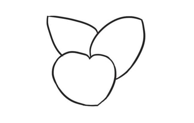 竹芋简笔画创作步骤图示01